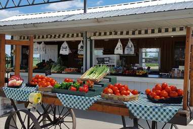 Goebbert's Farm - Pingree Grove