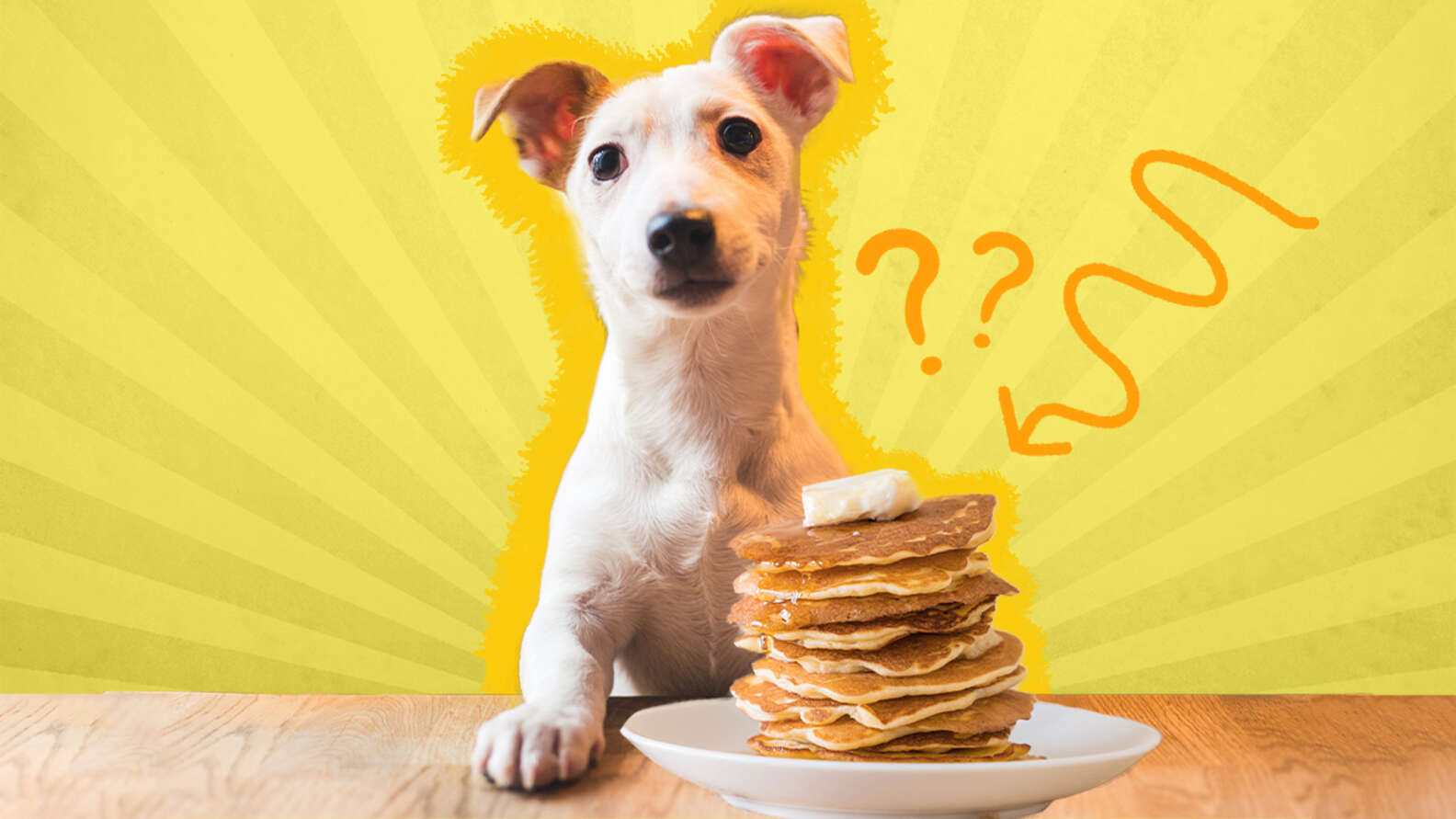 Can dogs eat blueberry pancakes Clearance