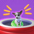 puppy in a kiddie pool