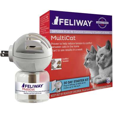 Best for multi-cat households: Feliway MultiCat Calming Diffuser Kit 