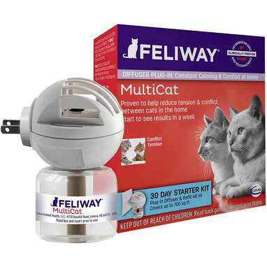 3 Best Cat Pheromone Diffusers DodoWell The Dodo