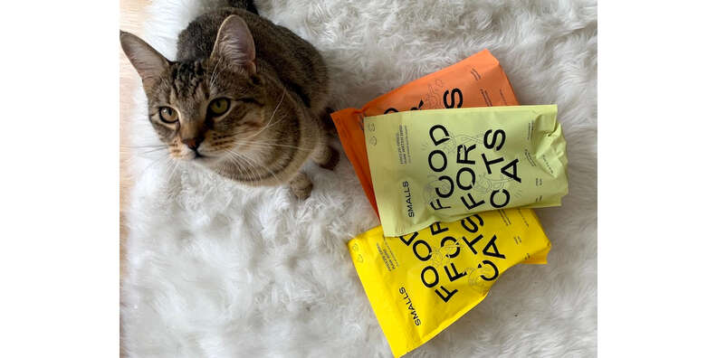 Smalls Cat Food Review Paw of Approval The Dodo