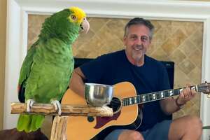 Parrot Insists On Singing Whenever Dad Plays Guitar