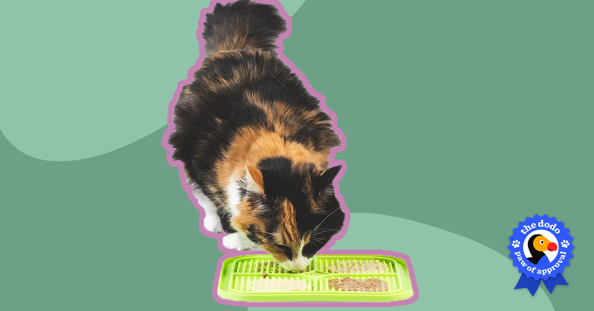Hyper Pet IQ Treat Lick Mat for Dogs & Cats, Reward, Large, Orange