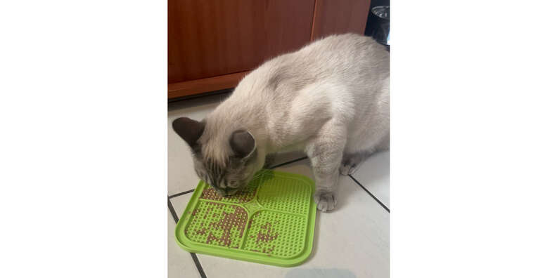 What's a Lick Mat & Does It Help Cats? Pros, Cons & FAQ - Catster