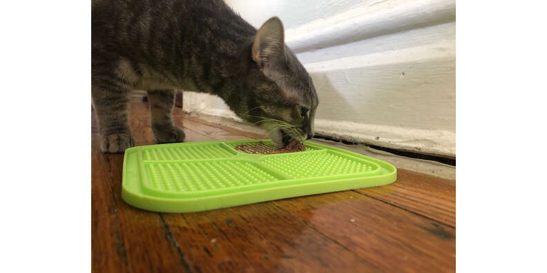 What's a Lick Mat & Does It Help Cats? Pros, Cons & FAQ - Catster