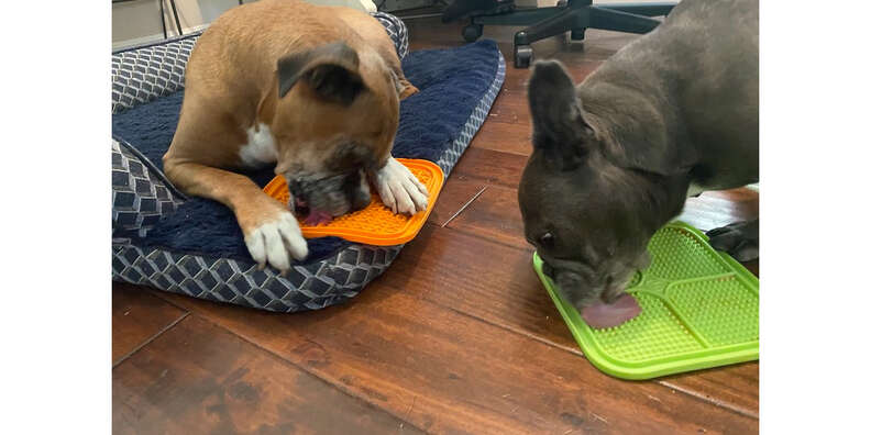 Hyper Pet IQ Dog Lick Mats Are Great for Meals, Boredom, and Anxiety