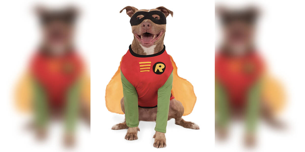 Kid And Dog Costumes: The 16 Best Coordinating Options For Halloween - The  Dodo