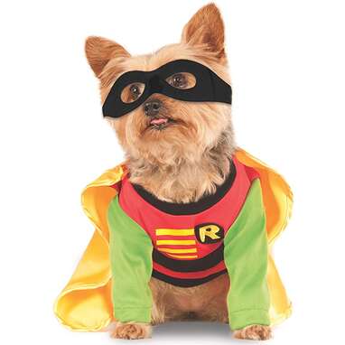 DC Comics “Teen Titans” Robin Costume