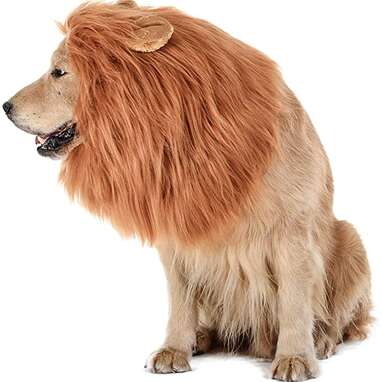 TOMSENN Dog Lion Mane