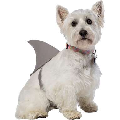 Rasta Imposta Shark Fin Costume