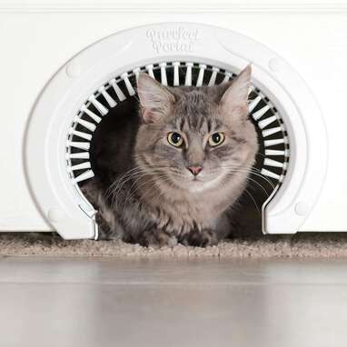 Purrfect Portal Interior Cat Door