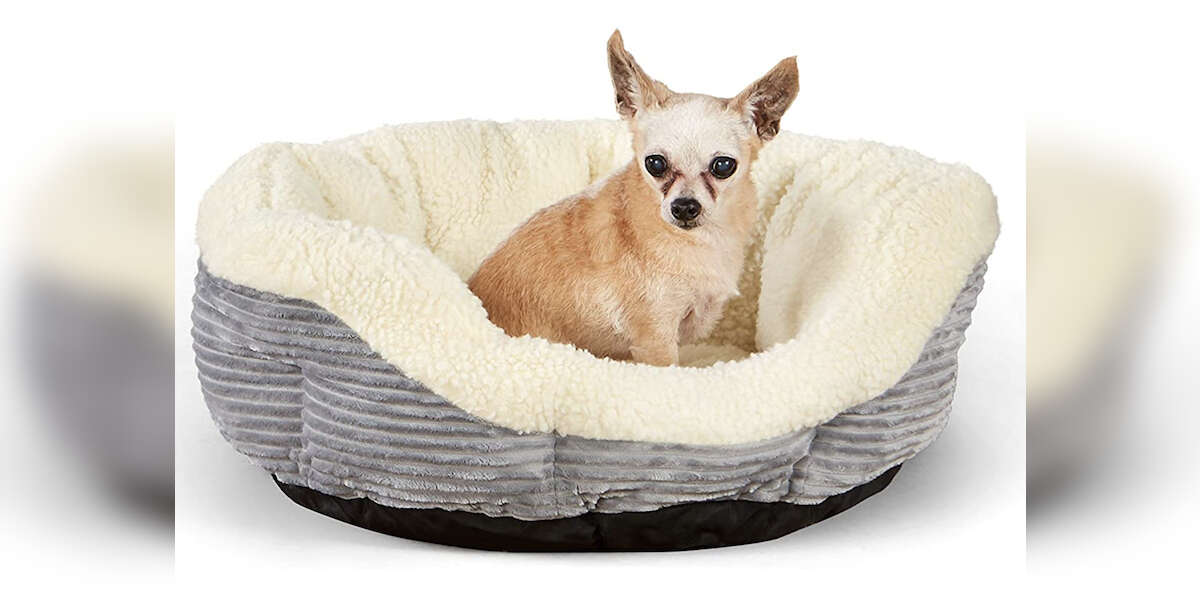 10 Best Warming and Heated Dog Beds On Amazon DodoWell The Dodo