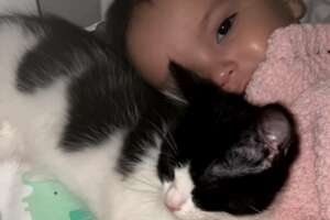 Tiny Rescue Kitten Refuses To Leave Baby Sister's Crib
