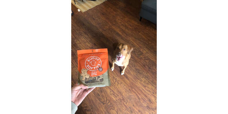 Buddy dog outlet treats