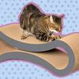 petfusion ultimate cat scratcher lounge