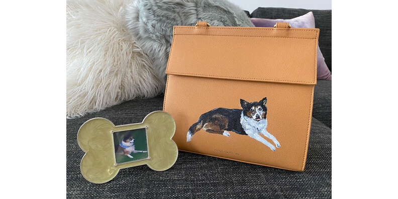 modern picnic pet lunch bag