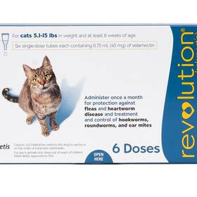 Feline heartworm outlet treatment