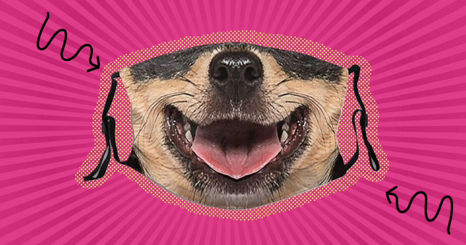 10 Cute Dog Face Masks For Dog Lovers DodoWell The Dodo