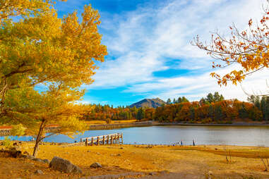 trees and a mountain towering above a lake in fall