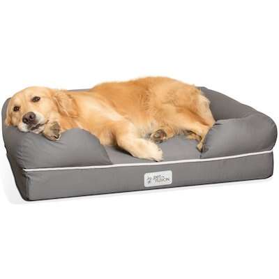 Pee proof dog bed Clearance