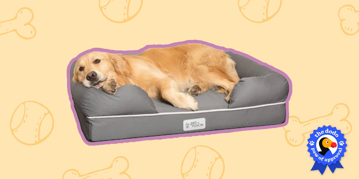 Ugg dog best sale bed reviews