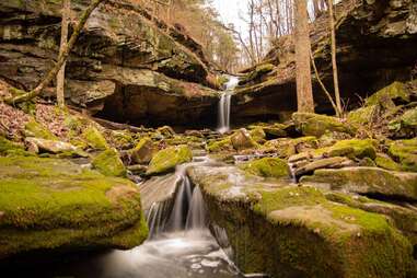 U.S. Forest Service - Shawnee National Forest