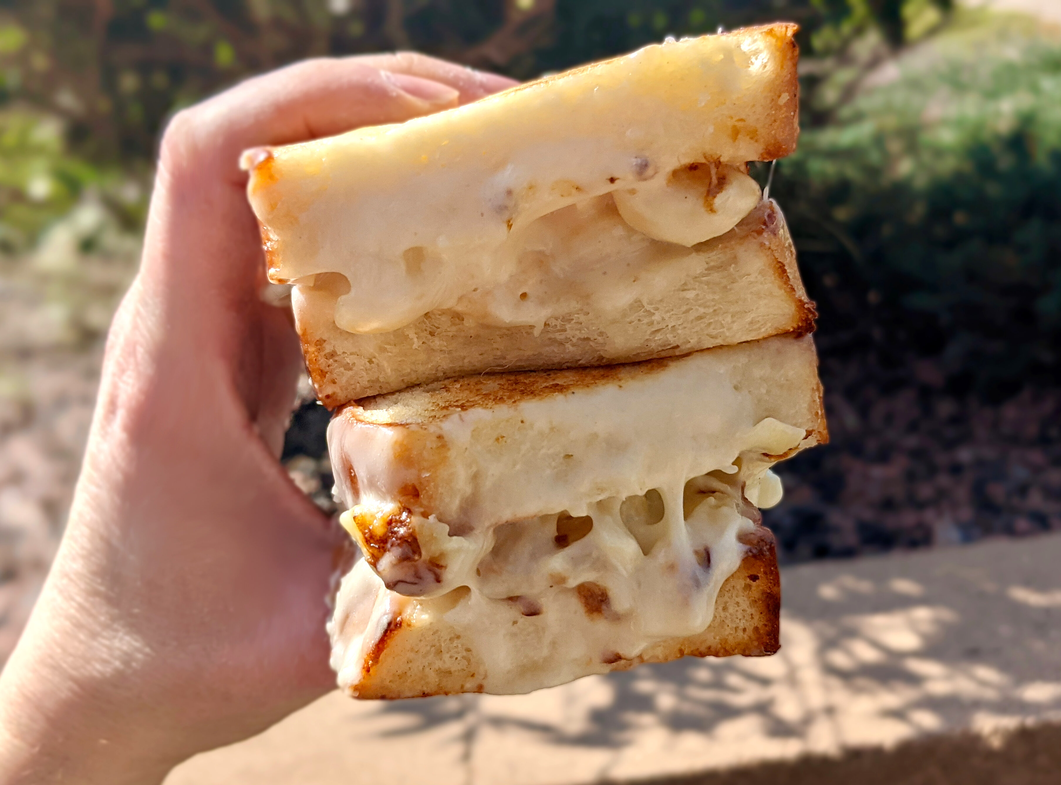Panera Grilled Mac & Cheese Sandwich How Does the New Item Taste? Thrillist