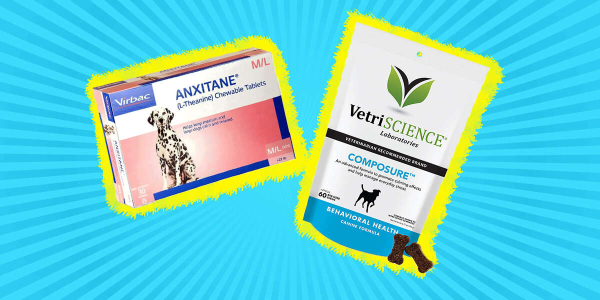 4 Calming Treats For Dogs That Actually Work DodoWell The Dodo