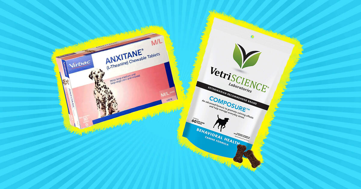 Best calming shop aid for dogs