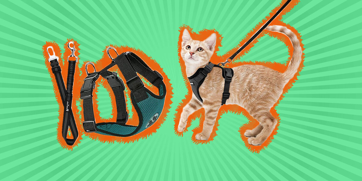 Best cat harness for traveling best sale