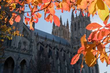 Washington National Cathedral