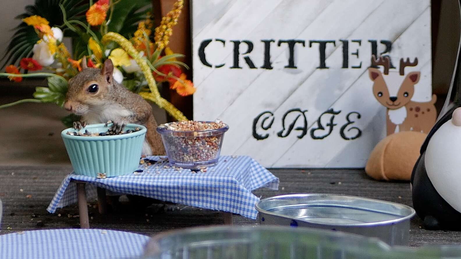 Critter Cafe