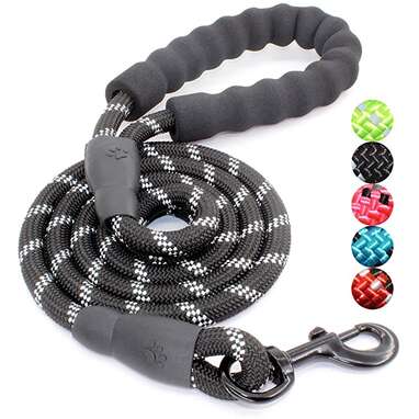 BAAPET Strong Dog Leash