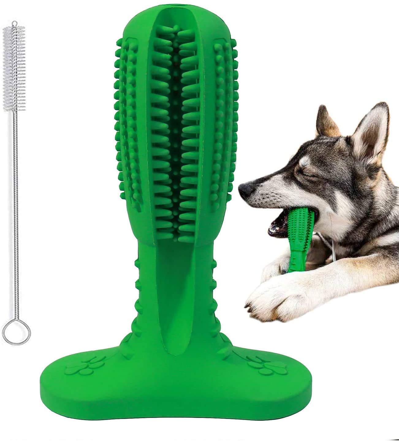 Dog toy discount that brushes teeth