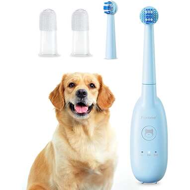 Best store dog toothbrush