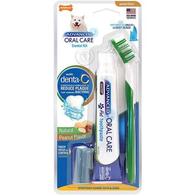 Nylabone Advanced Oral Care Dental Kit with Brush