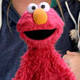 Elmo Helps Find A Rescue Puppy The Perfect Forever Family With Dodo Kids + Sesame Street
