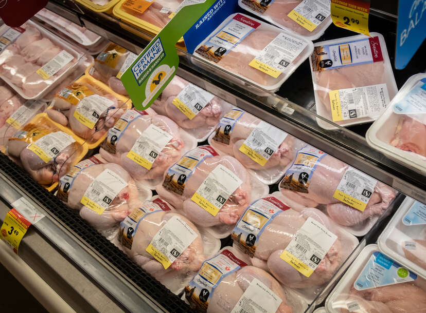 Theo Gregg theo-gregg