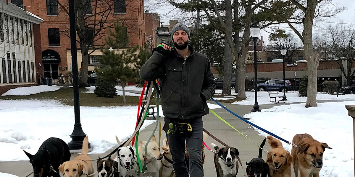 Professional Dog Walker Teaches Pack Of Dogs How To Perfectly