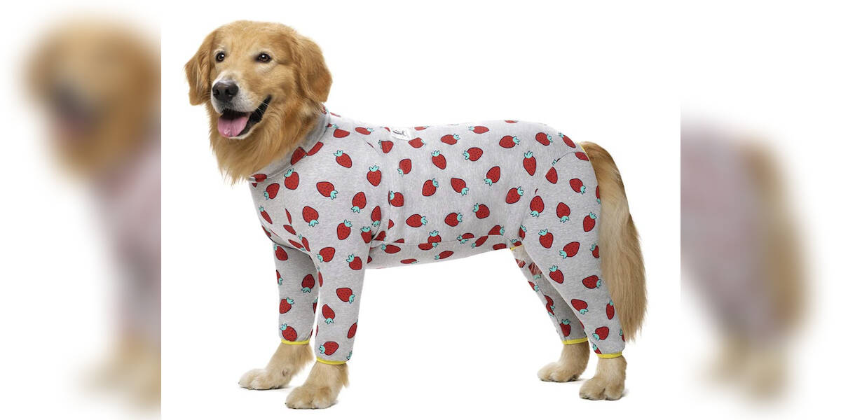 Big Dog Puppy Print Pajamas