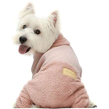 10 Best Dog Pajamas On  - DodoWell - The Dodo