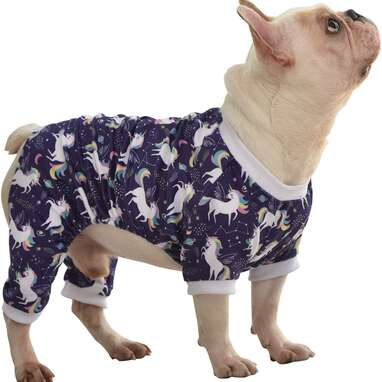 10 Best Dog Pajamas On  - DodoWell - The Dodo