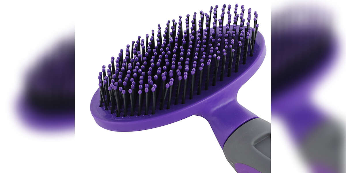 9 Best Dog Brushes On Amazon DodoWell The Dodo