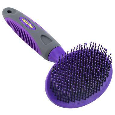 Best brush for hypoallergenic dogs hotsell