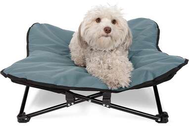 Paws & Pals Elevated Pet Bed