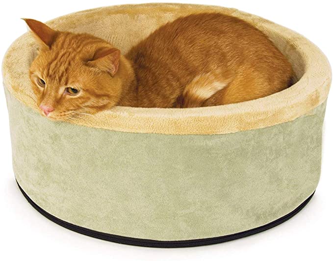 Amazon prime hotsell cat beds