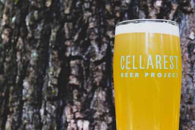 Cellarest Beer Project
