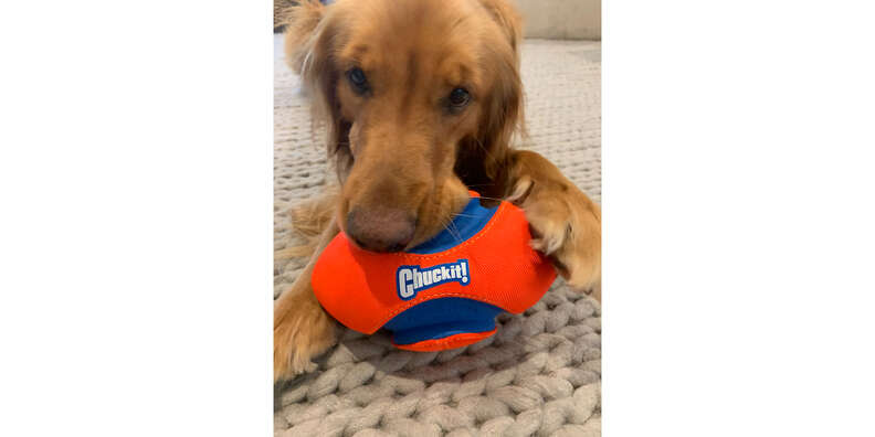 Chuckit fumble fetch best sale