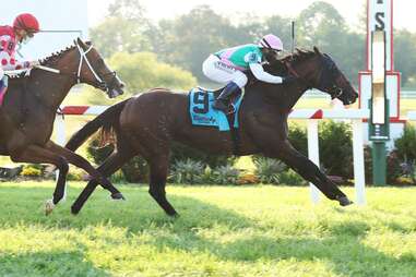 Kentucky Downs
